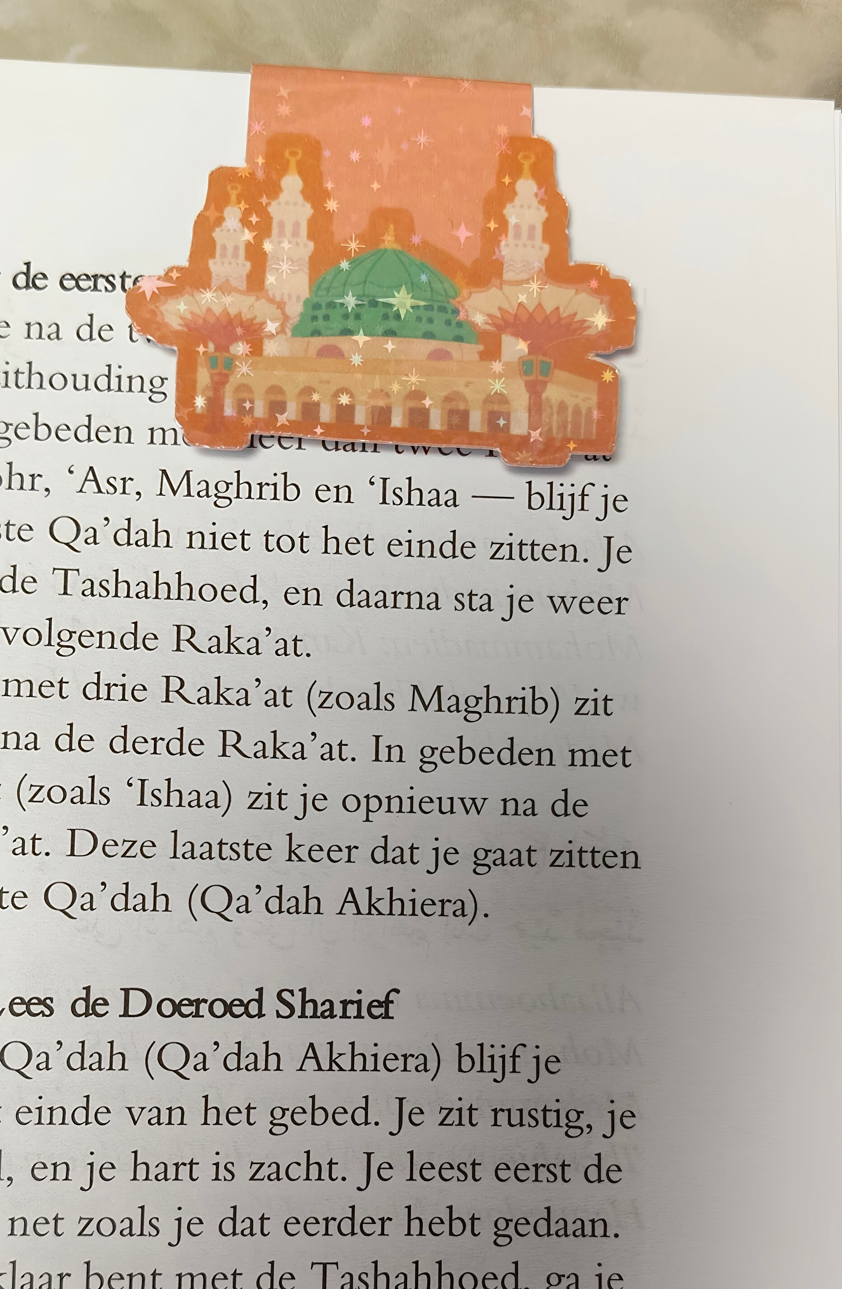 Magnetische boekenlegger b