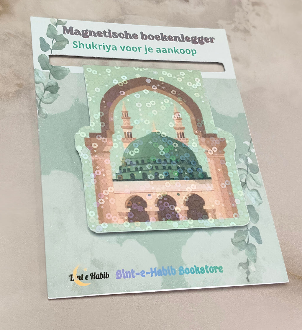Magnetic bookmark