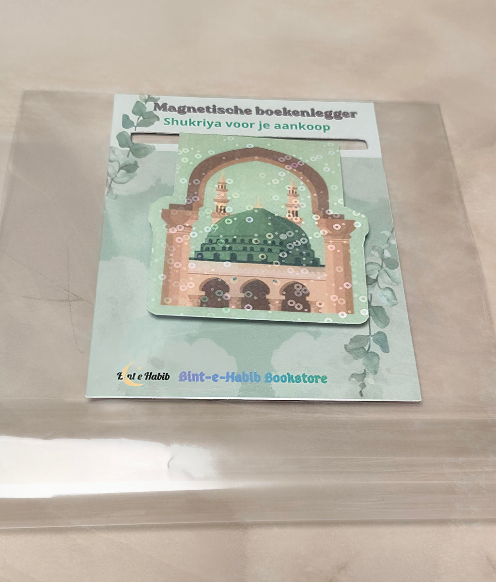 Magnetic bookmark