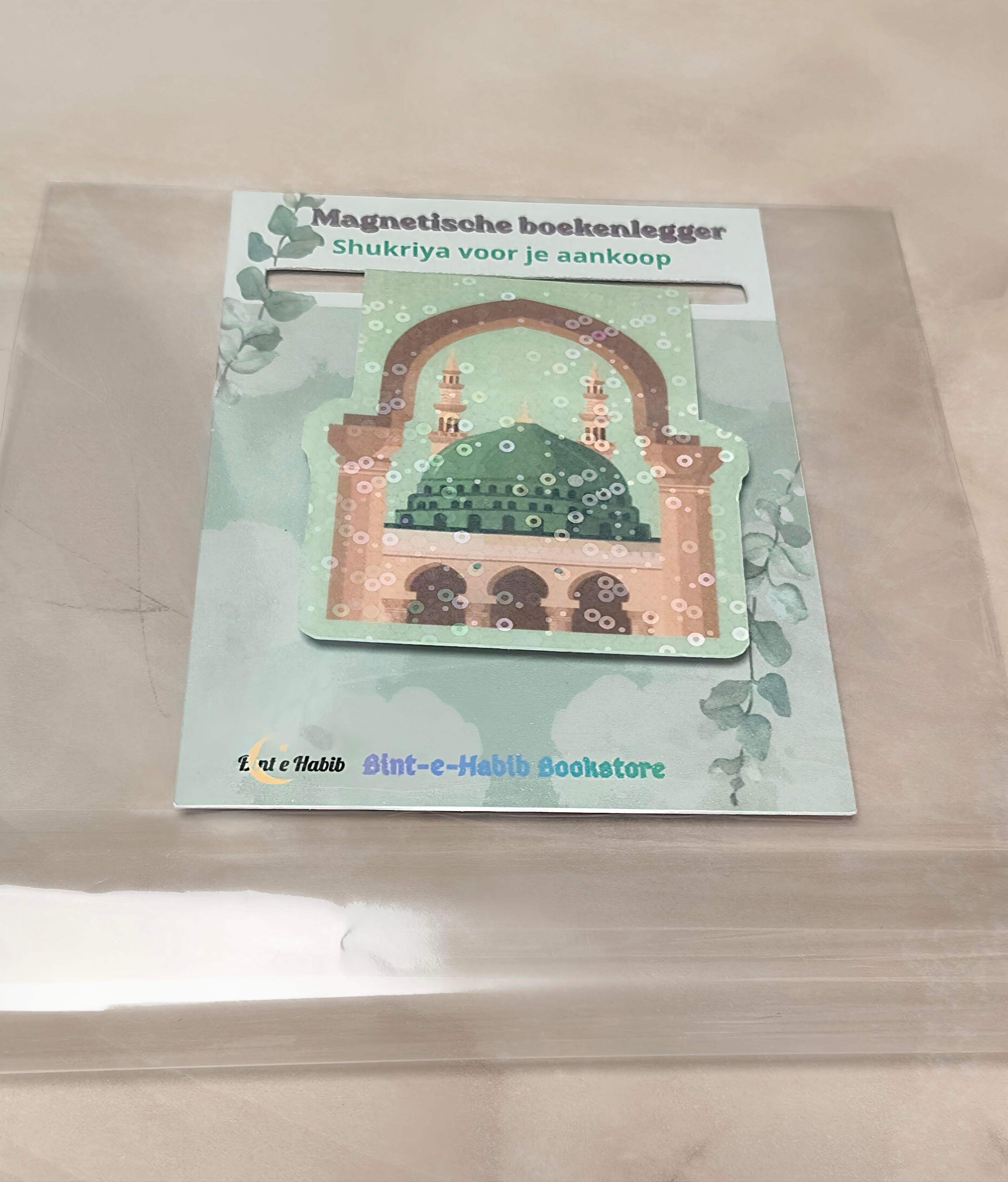 Magnetische boekenlegger g