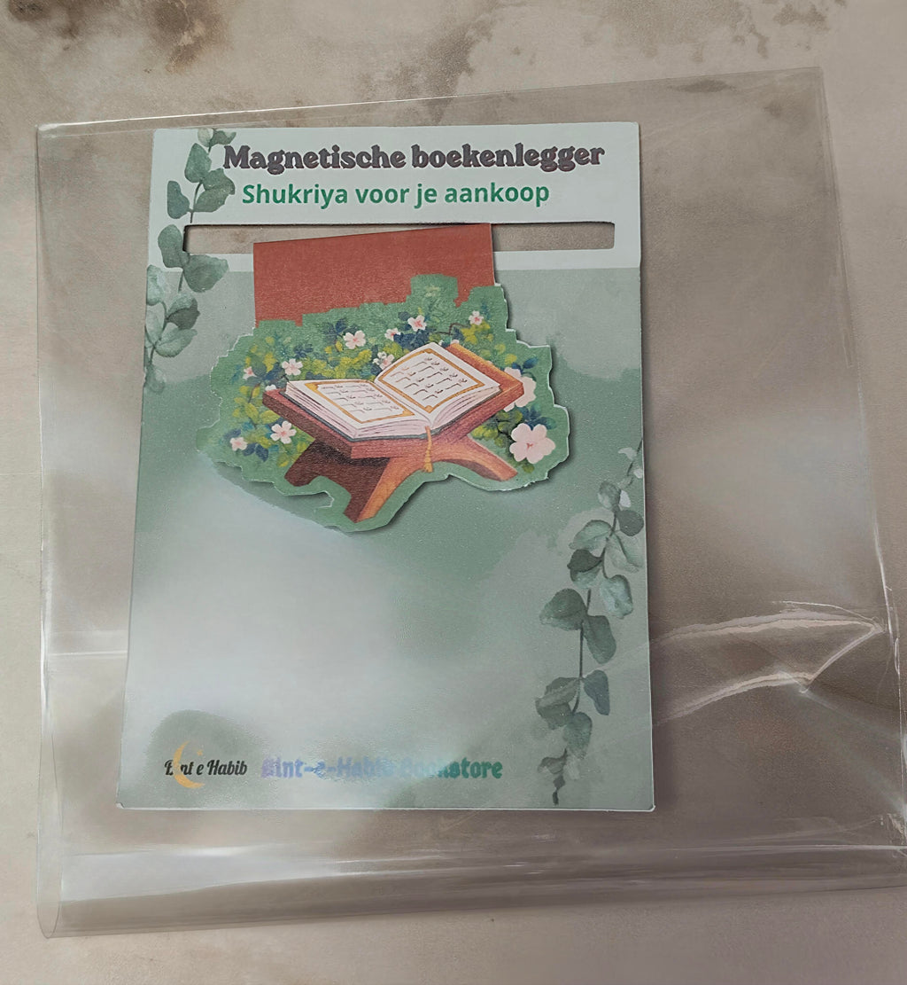 Magnetic bookmark
